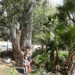 Kiryat Shmona Museum - Kiryat Shmona