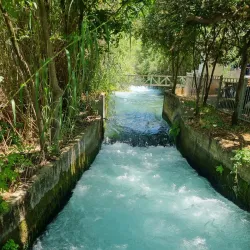 Tel Dan Nature Reserve - Kiryat Shmona