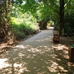 Tel Dan Nature Reserve - Kiryat Shmona