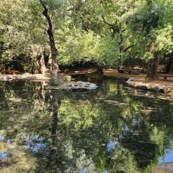 Tel Dan Nature Reserve - Kiryat Shmona