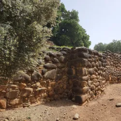 Tel Dan Nature Reserve - Kiryat Shmona