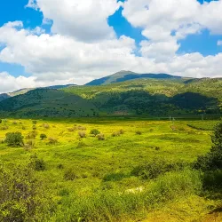 Tel Dan Nature Reserve - Kiryat Shmona
