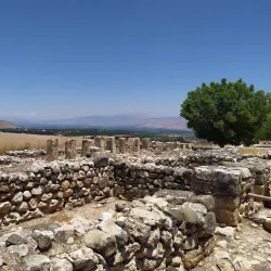 Tel Hazor National Park - Kiryat Shmona