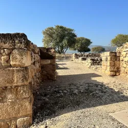 Tel Hazor National Park - Kiryat Shmona