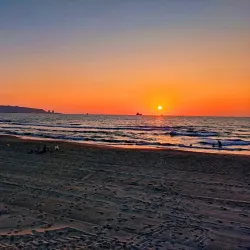 Coastal Nature Walks - Kiryat Yam (Qiryat Yam)