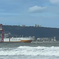 Coastal Nature Walks - Kiryat Yam (Qiryat Yam)