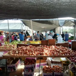 Local Markets and Shops - Kiryat Yam (Qiryat Yam)