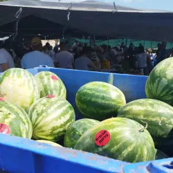 Local Markets and Shops - Kiryat Yam (Qiryat Yam)