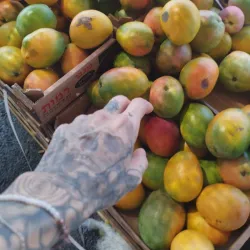 Local Markets and Shops - Kiryat Yam (Qiryat Yam)