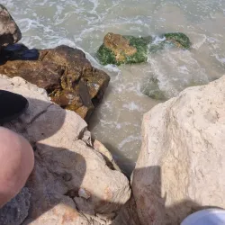 Nearby Haifa Attractions - Kiryat Yam (Qiryat Yam)