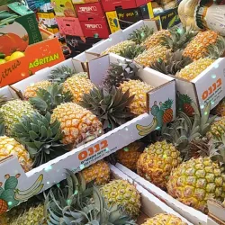 Lod Market (Shuk Lod) - Lod