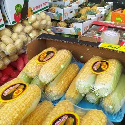 Lod Market (Shuk Lod) - Lod