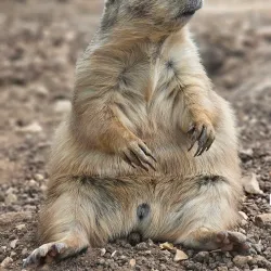 Jerusalem Biblical Zoo - Maale Adumim