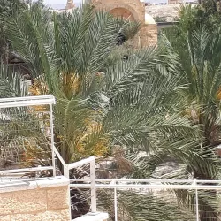 Qasr al-Yahud Baptismal Site - Maale Adumim