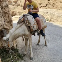 Wadi Qelt Nature Reserve - Maale Adumim