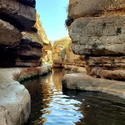 Wadi Qelt Nature Reserve - Maale Adumim
