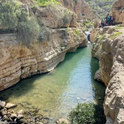Wadi Qelt Nature Reserve - Maale Adumim