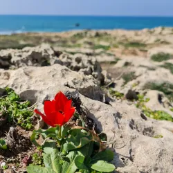 Ein Dor Nature Reserve - Migdal HaEmek (Migdal Ha Emeq)