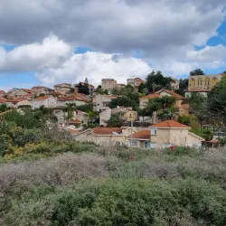 HaShita Forest - Migdal HaEmek (Migdal Ha Emeq)