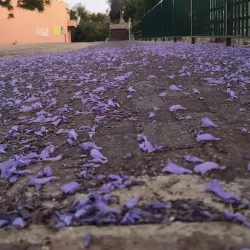 Jezreel Valley - Migdal HaEmek (Migdal Ha Emeq)