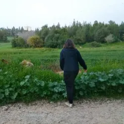 Kibbutz Yifat - Migdal HaEmek (Migdal Ha Emeq)