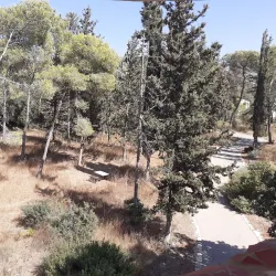Migdal HaEmek Park - Migdal HaEmek (Migdal Ha Emeq)
