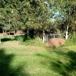 Migdal HaEmek Park - Migdal HaEmek (Migdal Ha Emeq)