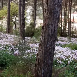 Migdal HaEmek Park - Migdal HaEmek (Migdal Ha Emeq)