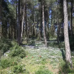 Migdal HaEmek Park - Migdal HaEmek (Migdal Ha Emeq)