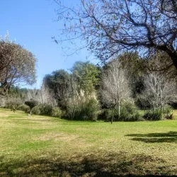 Migdal HaEmek Park - Migdal HaEmek (Migdal Ha Emeq)