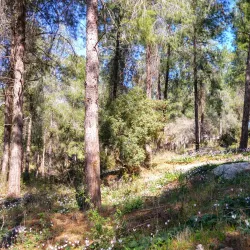 Migdal HaEmek Park - Migdal HaEmek (Migdal Ha Emeq)