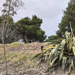 Mount Tabor - Migdal HaEmek (Migdal Ha Emeq)