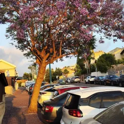 Mount Tabor - Migdal HaEmek (Migdal Ha Emeq)