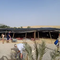 Bedouin Hospitality Experience - Mitzpe Ramon