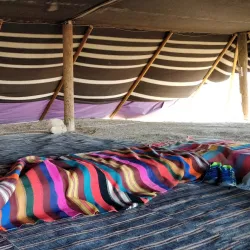 Bedouin Hospitality Experience - Mitzpe Ramon