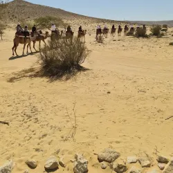 Negev Camel Ranch - Mitzpe Ramon