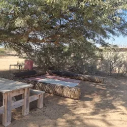 Negev Camel Ranch - Mitzpe Ramon