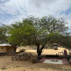 Negev Camel Ranch - Mitzpe Ramon