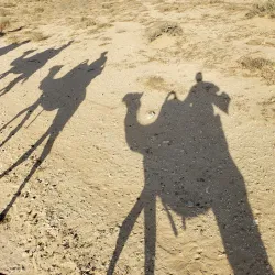 Negev Camel Ranch - Mitzpe Ramon