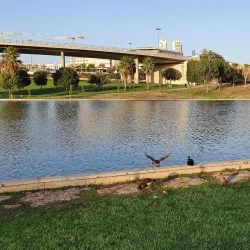 Anava Garden - Modiin