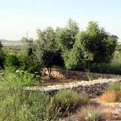 Modiin Archaeological Park - Modiin