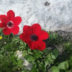 Nofei Modi'in Nature Reserve - Modiin