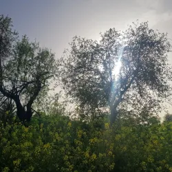 Nofei Modi'in Nature Reserve - Modiin