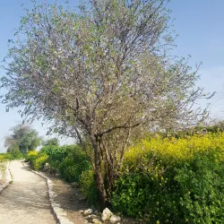 Nofei Modi'in Nature Reserve - Modiin