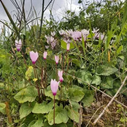 Nofei Modi'in Nature Reserve - Modiin