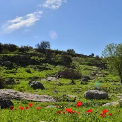 Nofei Modi'in Nature Reserve - Modiin