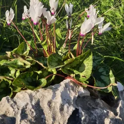 Nofei Modi'in Nature Reserve - Modiin