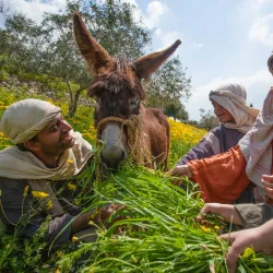 Nazareth Village - Nazareth
