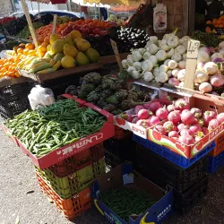 Local Markets - Nesher