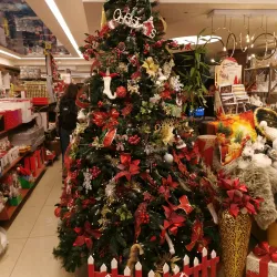 Local Markets - Nesher